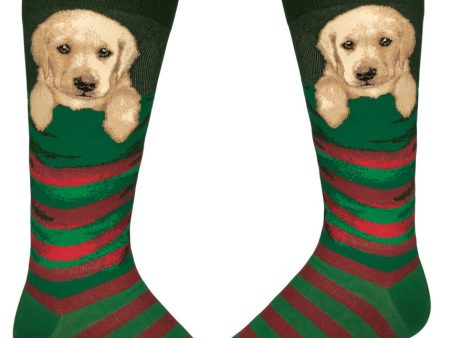 Men s Stocking Pupper Crew Online now