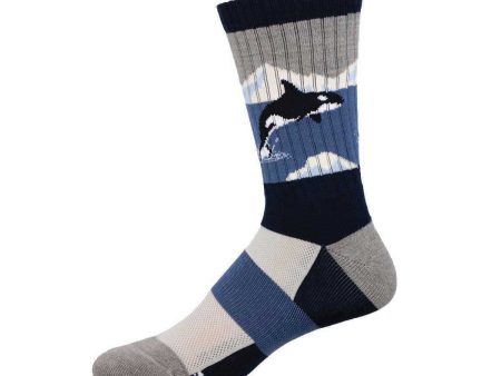 Arctic Orca - Merino Wool For Discount