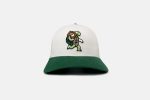 Jammin  Turtle Cap For Cheap