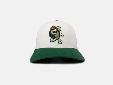 Jammin  Turtle Cap For Cheap