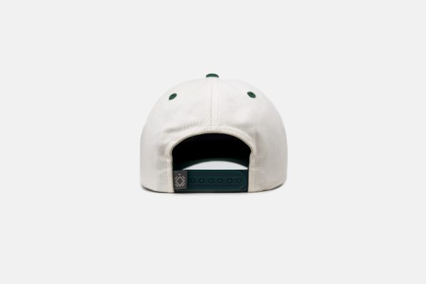 Jammin  Turtle Cap For Cheap