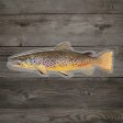 Brown Trout Sun Hoodie Online Hot Sale