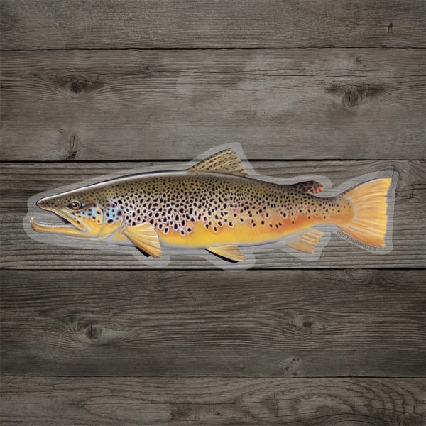 Brown Trout Sun Hoodie Online Hot Sale