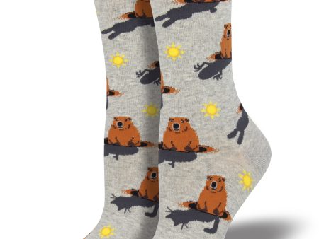 Women s  Groundhog Day  Socks Online now