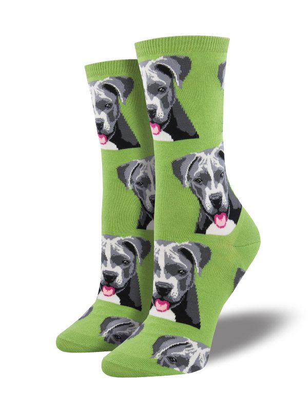 Women s  Pit Bull  Socks Online