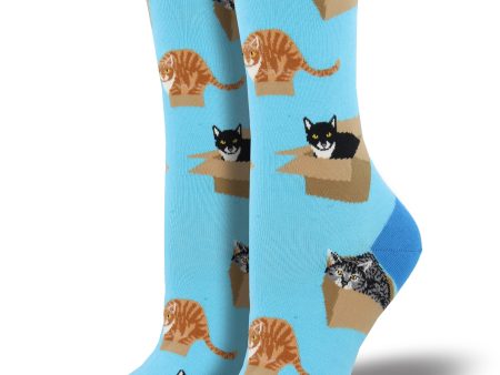 Women s  Cat In A Box  Socks Hot on Sale