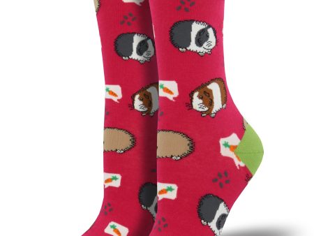 Women s  Guinea Pigs  Socks For Cheap