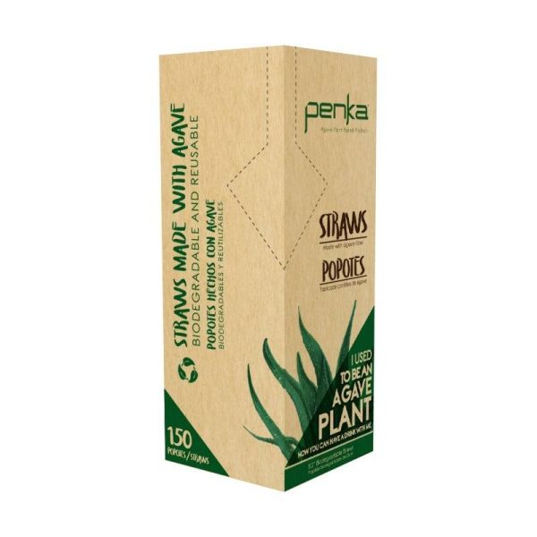 Premium Agave Fibre Biodegradable Straw - (Box of 150) Fashion