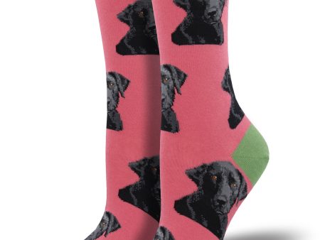 Women s  Lab-or Of Love  Socks Discount