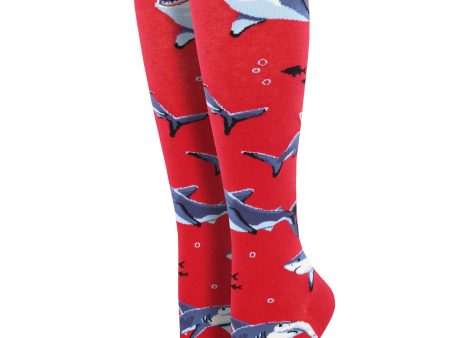 Women s  Shark Chums  Knee-High Socks For Discount