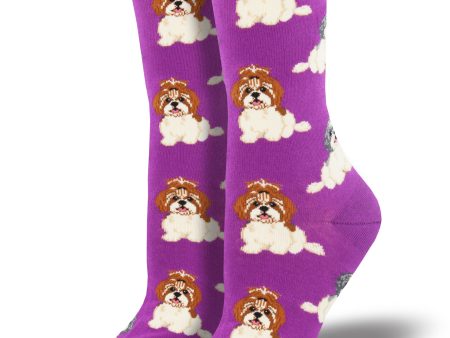 Women s  I Shih Tzu Not  Socks Online Sale